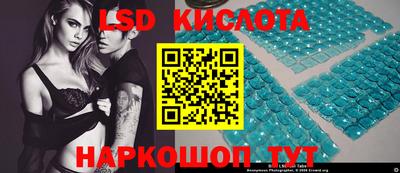 гидропоника Новокубанск
