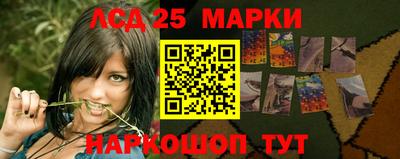 гидропоника Новокубанск