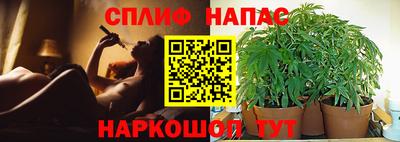 молекула духа Новодвинск