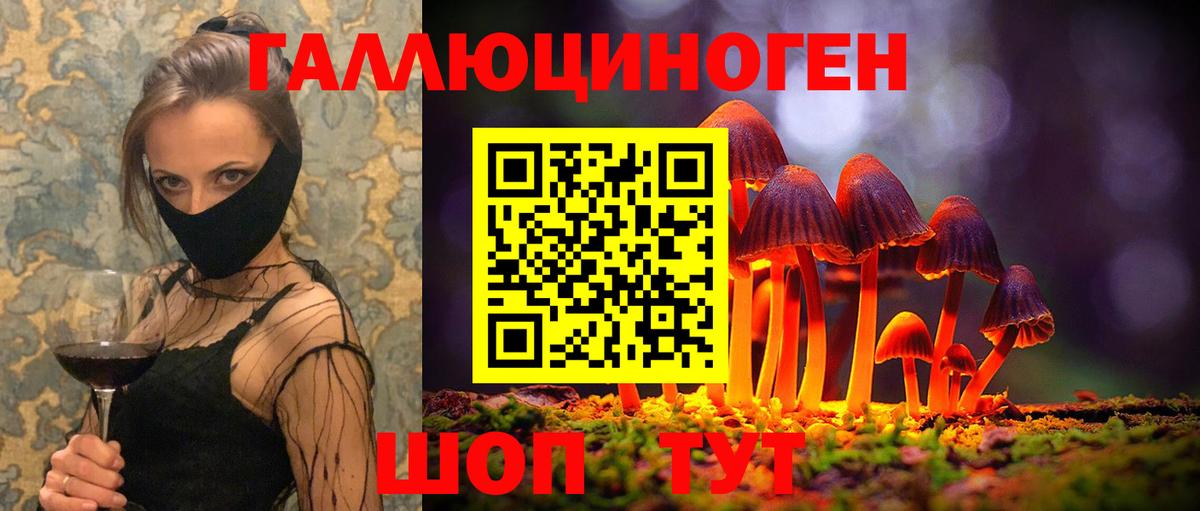 Псилоцибиновые грибы Psilocybe Среднеуральск