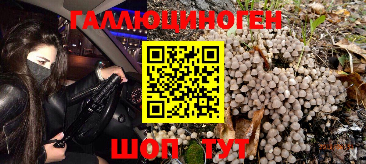 Среднеуральск  Галлюциногенные грибы Psilocybe  Вход с VPN 